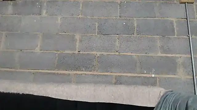 Snapshot of Vince_Favent chatting on 09-26-25, 01:56 Vince Favent online show from 09-26-25, 01:56