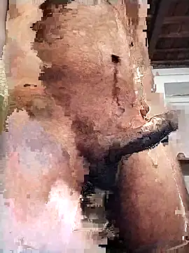 PunjabiSardarBull online show from 02-14-26, 03:01