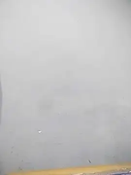 YourTarzan online show from 12-15-25, 08:09