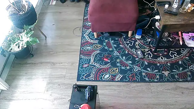 Sicksob online show from 05-18-26, 05:29