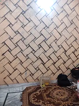 meenu bhabhi547 online show from 02-25-26, 04:34