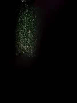 Jasmin Pink online show from 11-05-25, 12:19