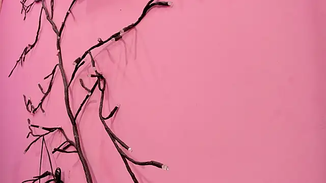 Liam evvan online show from 01-13-26, 02:59