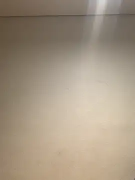 Snapshot of Mellow_Joe chatting on 10-31-25, 08:16 Mellow Joe online show from 10-31-25, 08:16