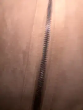 FroggyAnna online show from 11-01-25, 03:39