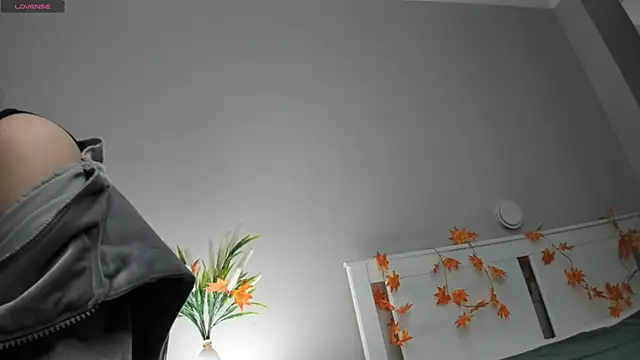 AuroraVice online show from 11-27-25, 06:03