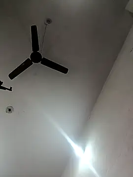 Appypie online show from 10-29-25, 06:01