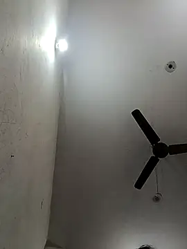 Appypie online show from 11-17-25, 06:39