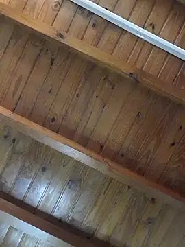 Facosaf online show from 04-07-26, 06:10