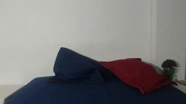 onixandghosty1 online show from 02-24-26, 07:04