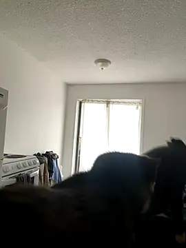 inked nekoo online show from 12-03-25, 03:33