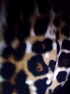 Thaohoa love online show from 02-22-26, 09:49