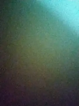 Snapshot of Riya_jaan12 chatting on 11-04-25, 10:41 Riya jaan12 online show from 11-04-25, 10:41