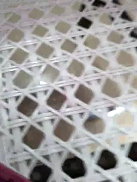 Alexa9k7 online show from 12-02-25, 07:15