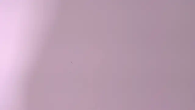 scarletross  online show from 05-06-26, 03:05