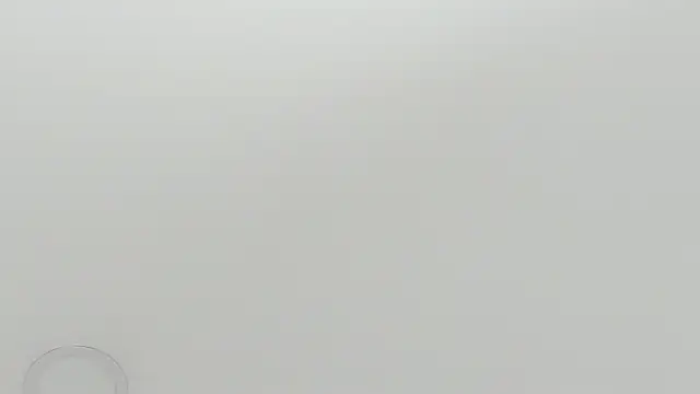 Snapshot of scarletross_ chatting on 02-26-26, 02:39 scarletross online show from 02-26-26, 02:39