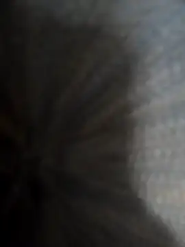 safadomoreno online show from 12-20-25, 04:37