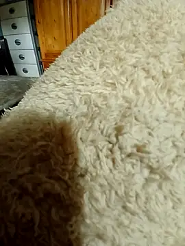 Snapshot of Ahalm chatting on 11-16-25, 02:33 Ahalm online show from 11-16-25, 02:33