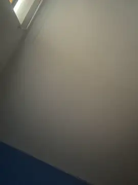 stevo170t online show from 11-18-25, 05:27