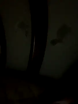 Bruno18cmmmmkk online show from 12-19-25, 03:54