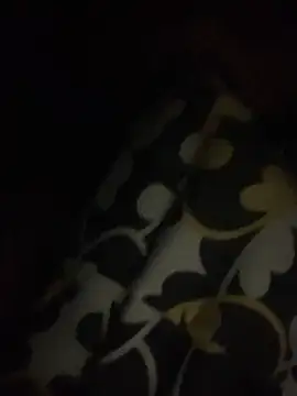 Bruno18cmmmmkk online show from 12-20-25, 07:55