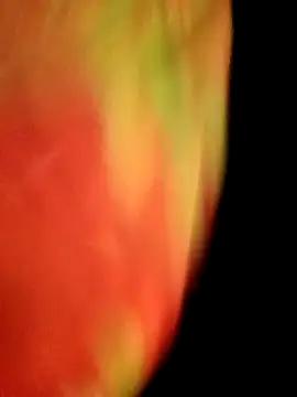 Snapshot of gulapi-gulistan180 chatting on 09-28-25, 05:09 gulapi-gulistan180 online show from 09-28-25, 05:09