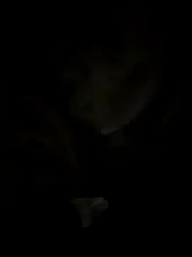 tran my online show from 10-29-25, 05:06