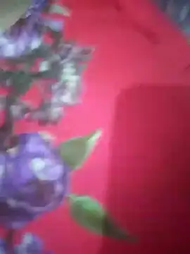 Snapshot of hezabi_queen07 chatting on 09-19-25, 06:12 hezabi queen07 online show from 09-19-25, 06:12