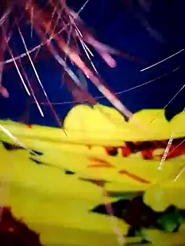 DarkLoverVI online show from 12-19-25, 02:48