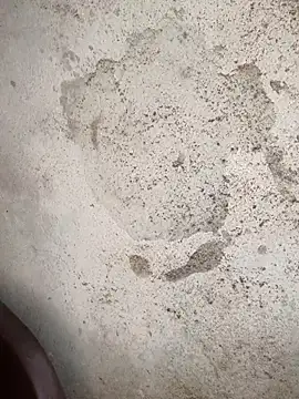 Schii69 online show from 12-18-25, 11:41