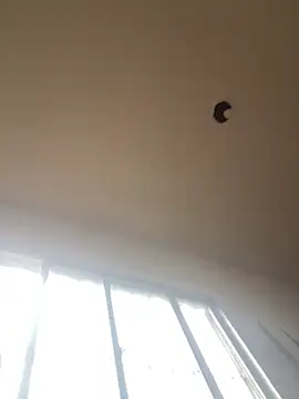 Katianesantos online show from 03-01-26, 01:55