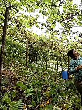 ngan-cute online show from 07-20-26, 12:40