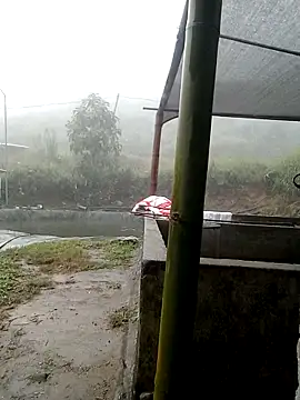 ngan-cute online show from 11-02-25, 04:17