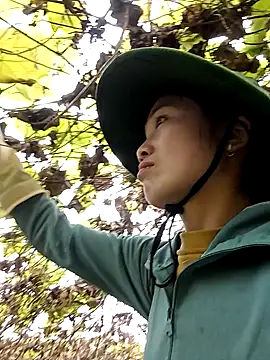 ngan-cute online show from 01-11-26, 04:08