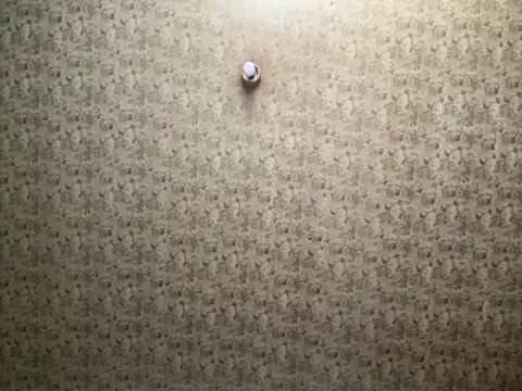 Tookey012 online show from 04-19-26, 07:09