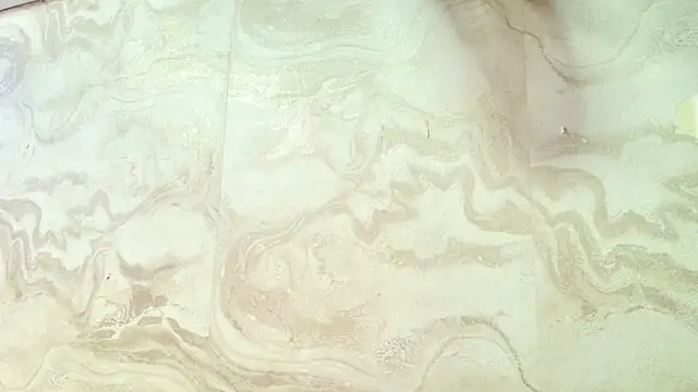 amy greene online show from 03-31-26, 11:34