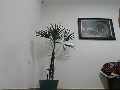 Young handsome online show from 09-11-25, 01:27