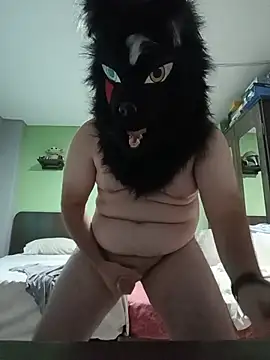 Wolf Okami SP online show from 07-21-26, 02:29