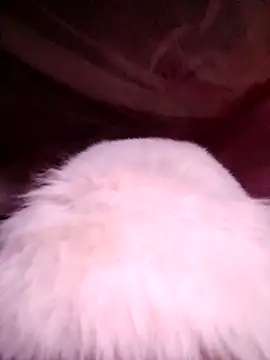 VanGau031694 online show from 11-13-25, 11:52