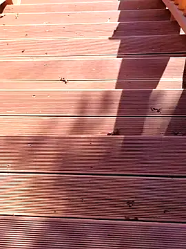 shaoshao-7758 online show from 11-11-25, 02:50