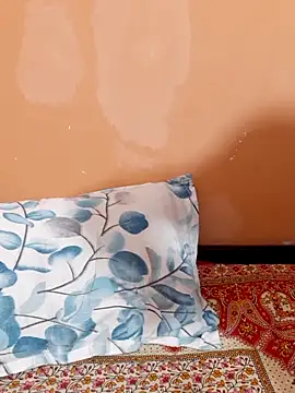 siya rani67 online show from 04-02-26, 01:57