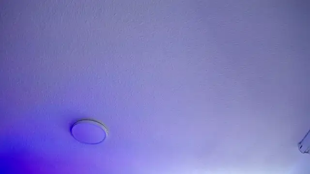  Charlotte Collins  online show from 06-21-26, 06:25
