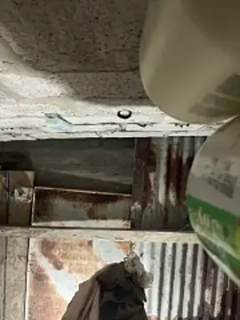 Snapshot of SaraBust chatting on 04-07-26, 04:25 SaraBust online show from 04-07-26, 04:25