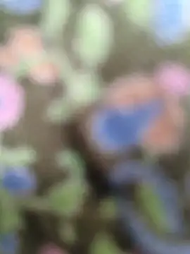 sexy  girls98 online show from 06-17-26, 06:13