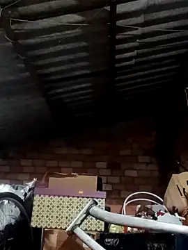 josemcf26 online show from 01-28-25, 04:19