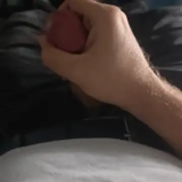 stunning stallion online show from 10-24-25, 09:25