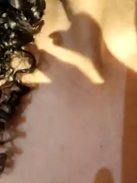 kate lua online show from 04-02-26, 04:30