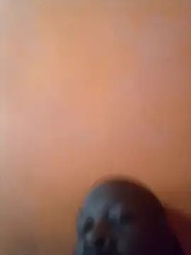 Snapshot of Tearain84 chatting on 06-14-26, 07:20 Tearain84 online show from 06-14-26, 07:20
