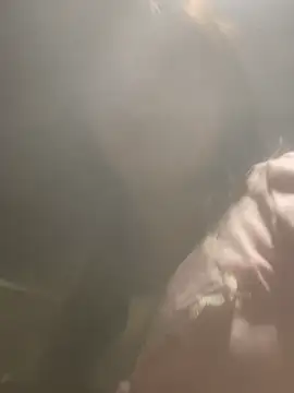 AnHa19 online show from 03-01-26, 09:42