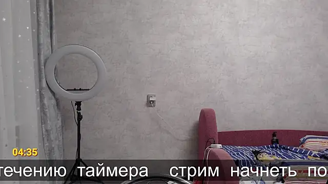 glasses cat online show from 11-12-25, 08:45